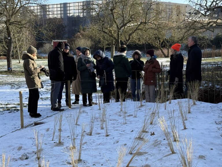 Botanical Garden. Partners meeting, Rostock 2026.